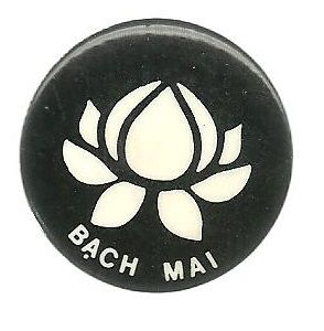 Vietnam Bach Mai Hospital Pin 