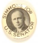 Simmons for Senator, Nebraska