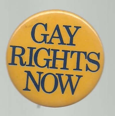 Gay Rights Now 1970s Cause Pin