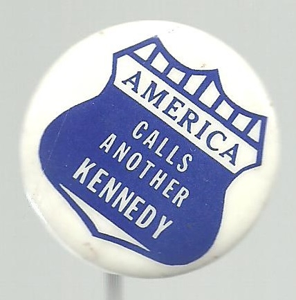 RFK America Calls Another Kennedy 