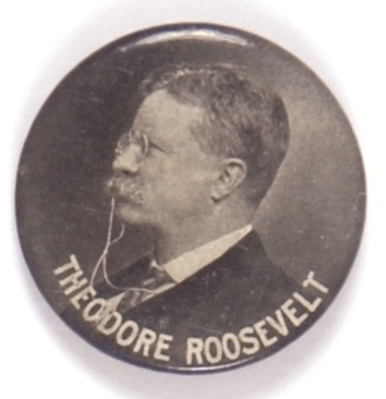 Theodore Roosevelt Profile