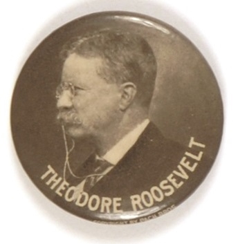 Theodore Roosevelt in Profile
