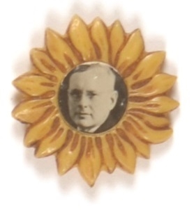 Landon Plastic Sunflower Pinback