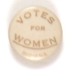 Votes for Women Indiana