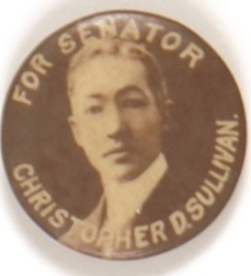 Christopher Sullivan for New York State Senator