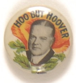 Hoo But Hoover California Poppy