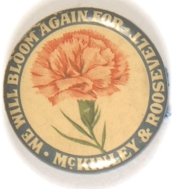McKinley Will Bloom Again Carnation