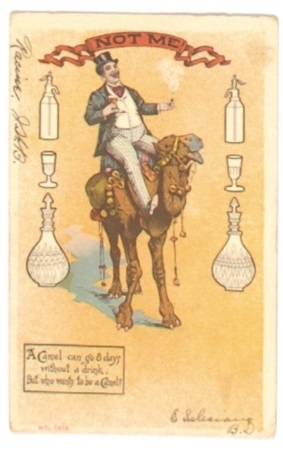 Anti Prohibition Camel Postcard 
