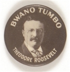 Roosevelt Bwano Tumbo