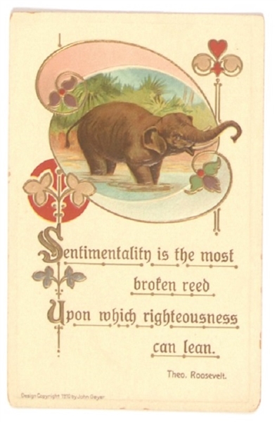 Theodore Roosevelt Elephant Postcard