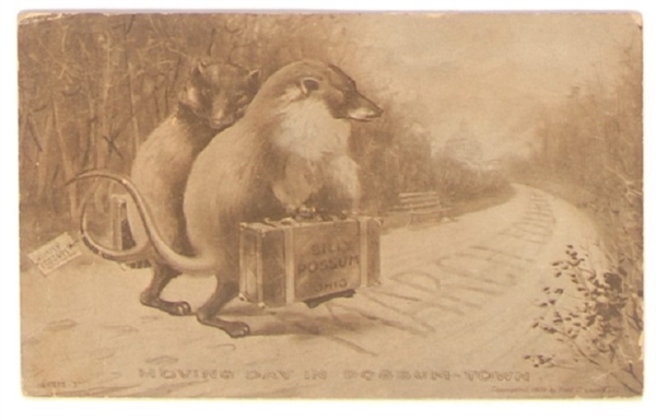 Taft Billy Possum Moving Day Postcard
