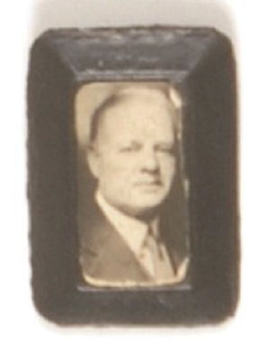 Hoover Plastic Picture Pin