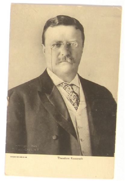 Roosevelt Portrait Postcard