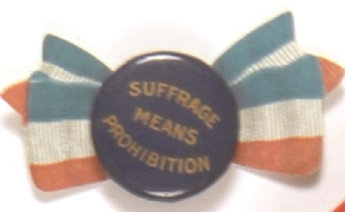 Suffrage Means Prohibition