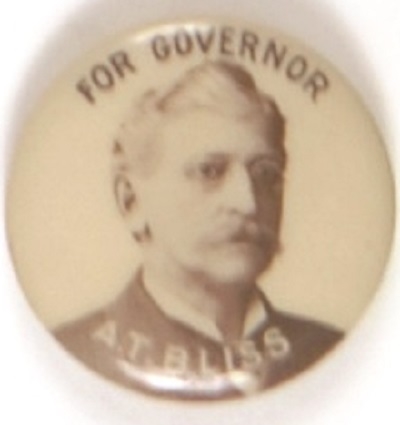 Bliss for Governor, Michigan