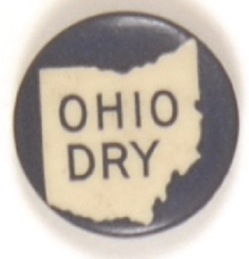 Ohio Dry Prohibition Pin
