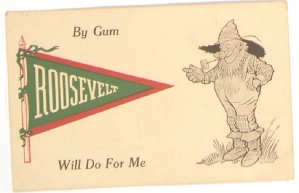 Roosevelt Will Do for Me Postcard