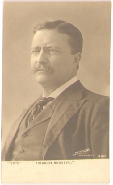 Theodore Roosevelt Portrait Postcard
