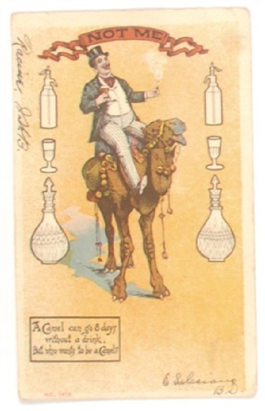 Temperance Camel Postcard