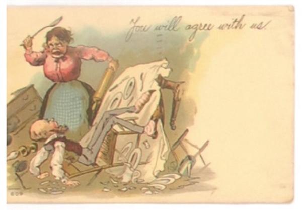 You Will Agree With Us Suffrage Postcard