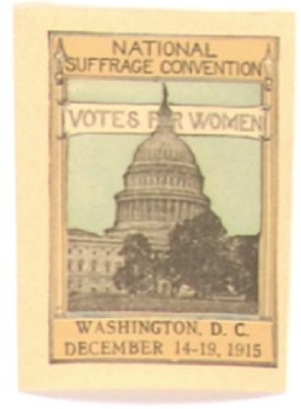National Suffrage Convention 1915 Stamp