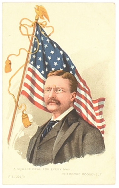 Theodore Roosevelt Flag Square Deal Postcard