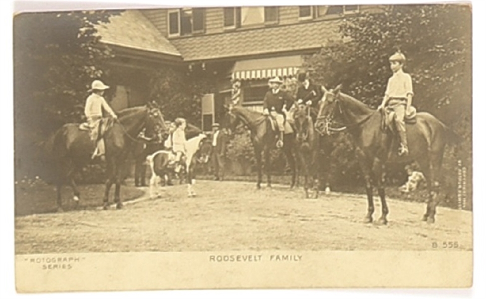 Theodore Roosevelt Family Postcard
