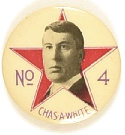 Charles A. White Illinois Labor Leader, Politician