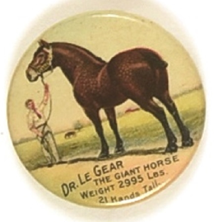 Dr. LeGear The World’s Largest Horse