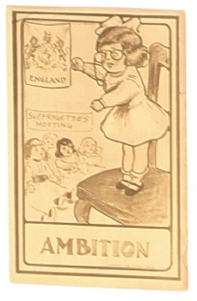 Suffragettes Meeting, Ambition
