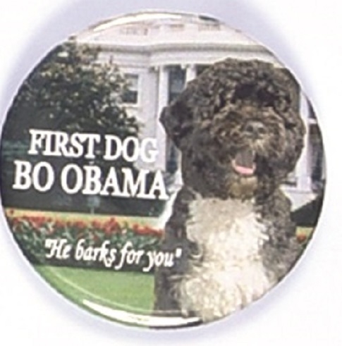 Obama First Dog Bo