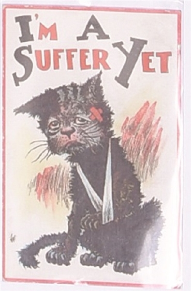 Im a Suffer Yet Suffrage Postcard