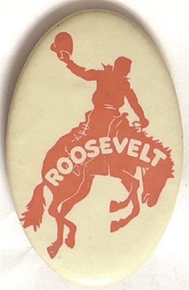 Roosevelt Bucking Bronco Wyoming County Pin