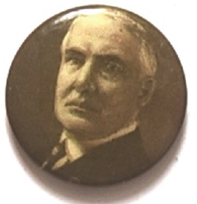 Warren Harding Picture Pin