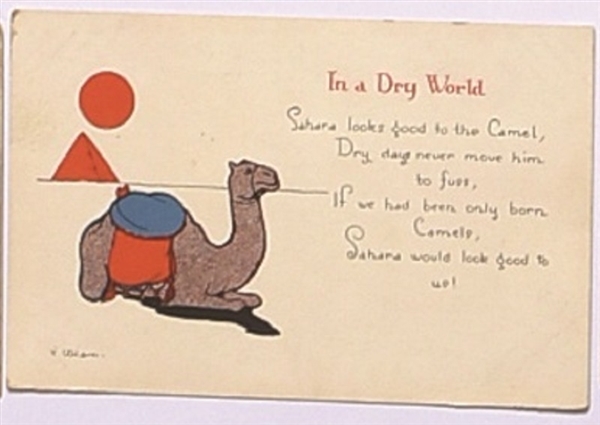 Prohibition "Dry World" Camel Postcard