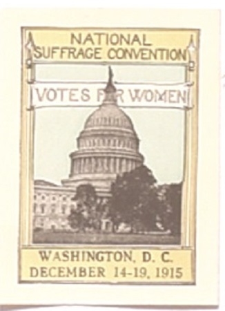 National Suffrage Convention 1915 Large Stamp