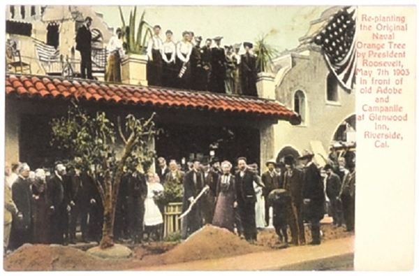 Theodore Roosevelt Riverside, CA Postcard