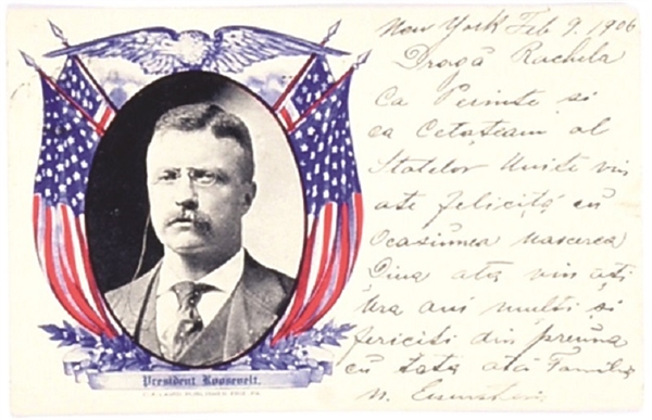 Theodore Roosevelt Flags and Eagle Postcard
