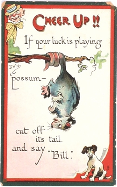 Taft Billy Possum Cheer Up Postcard