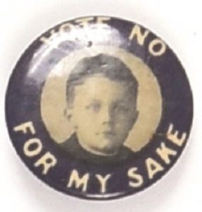 Vote No for My Sake, Young Boy