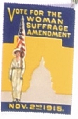 Vote for Woman Suffrage Amendment Stamp
