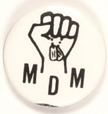 Vietnam MDM Protest Pin