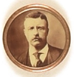 Theodore Roosevelt Framed Sepia