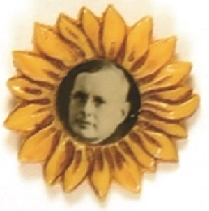 Landon Plastic Sunflower Picture Pin