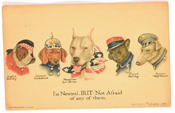 Neutral, but Not Afraid World War I Dog Postcard
