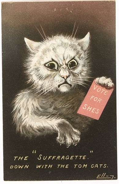 Suffragette, Down with the Tom Cats Postcard