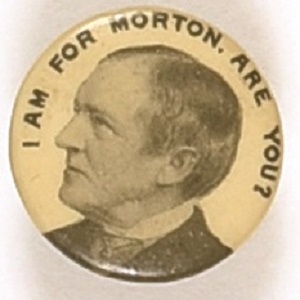 I am for Levi Morton, are You?