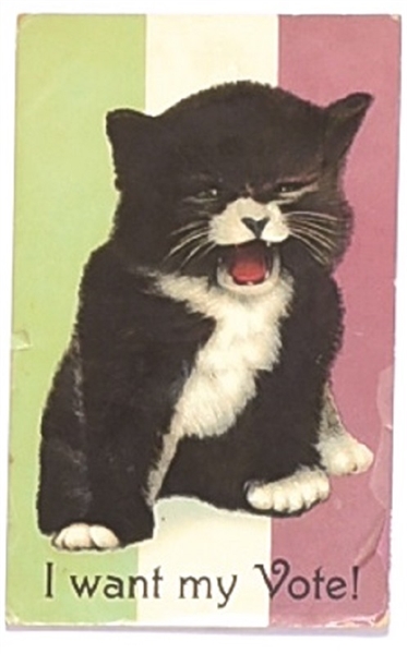 I Want My Vote Suffrage Cat Postcard