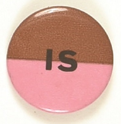 Brown is Pink, Nixon for Governor California Pin