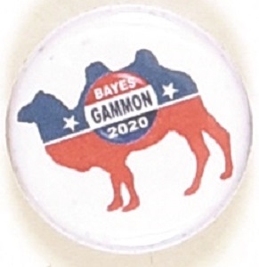 Bayes, Gammon 2020 Prohibition Party
